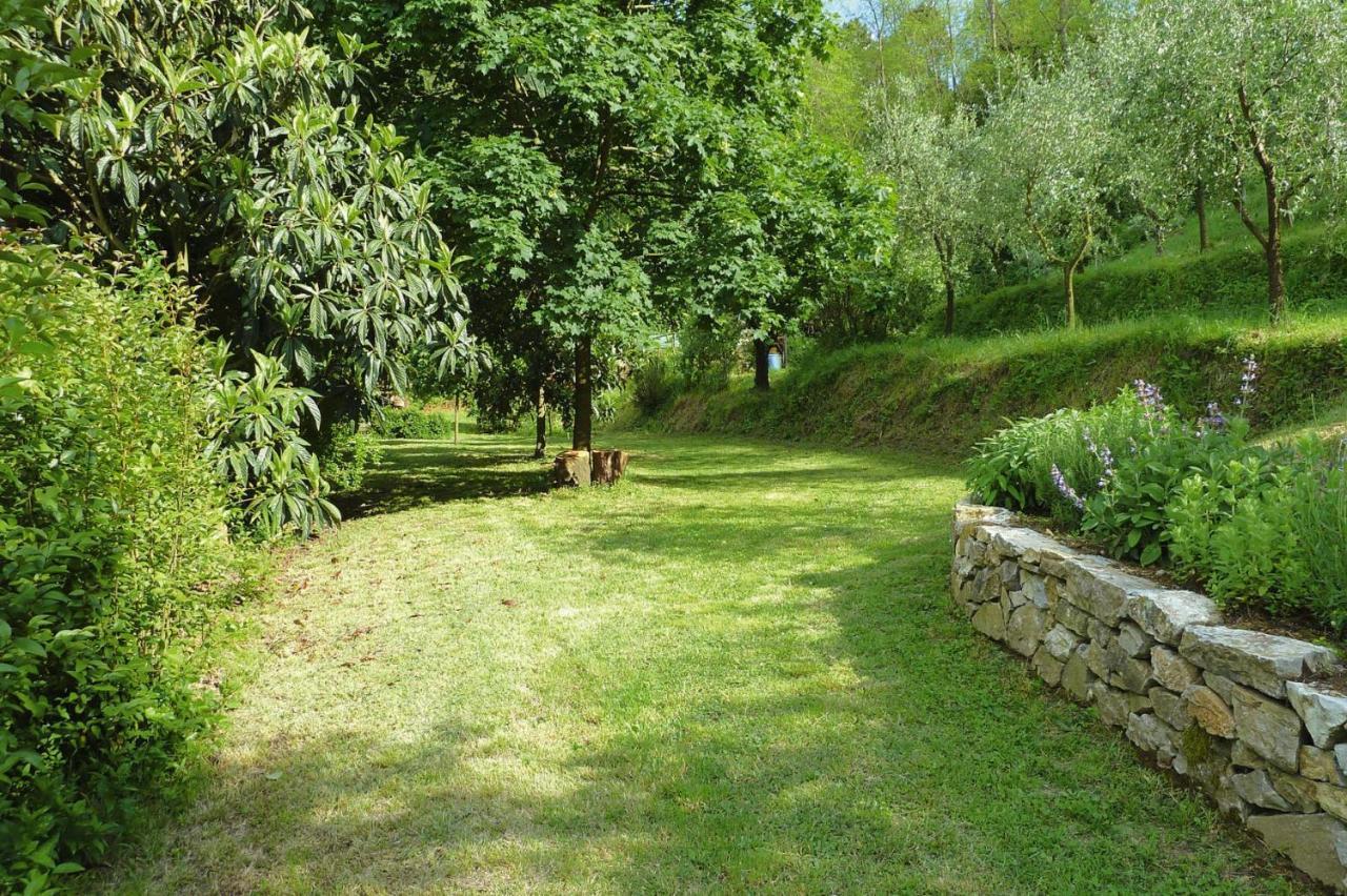 Holiday Home Casa Carla, Ripafratta 외부 사진